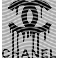 Brand Catalog-ZX 297